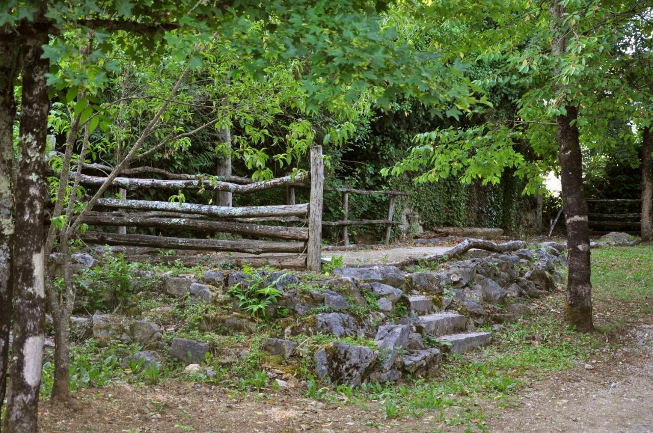 Traditional Stone House Kotli Buzet Eksteriør billede