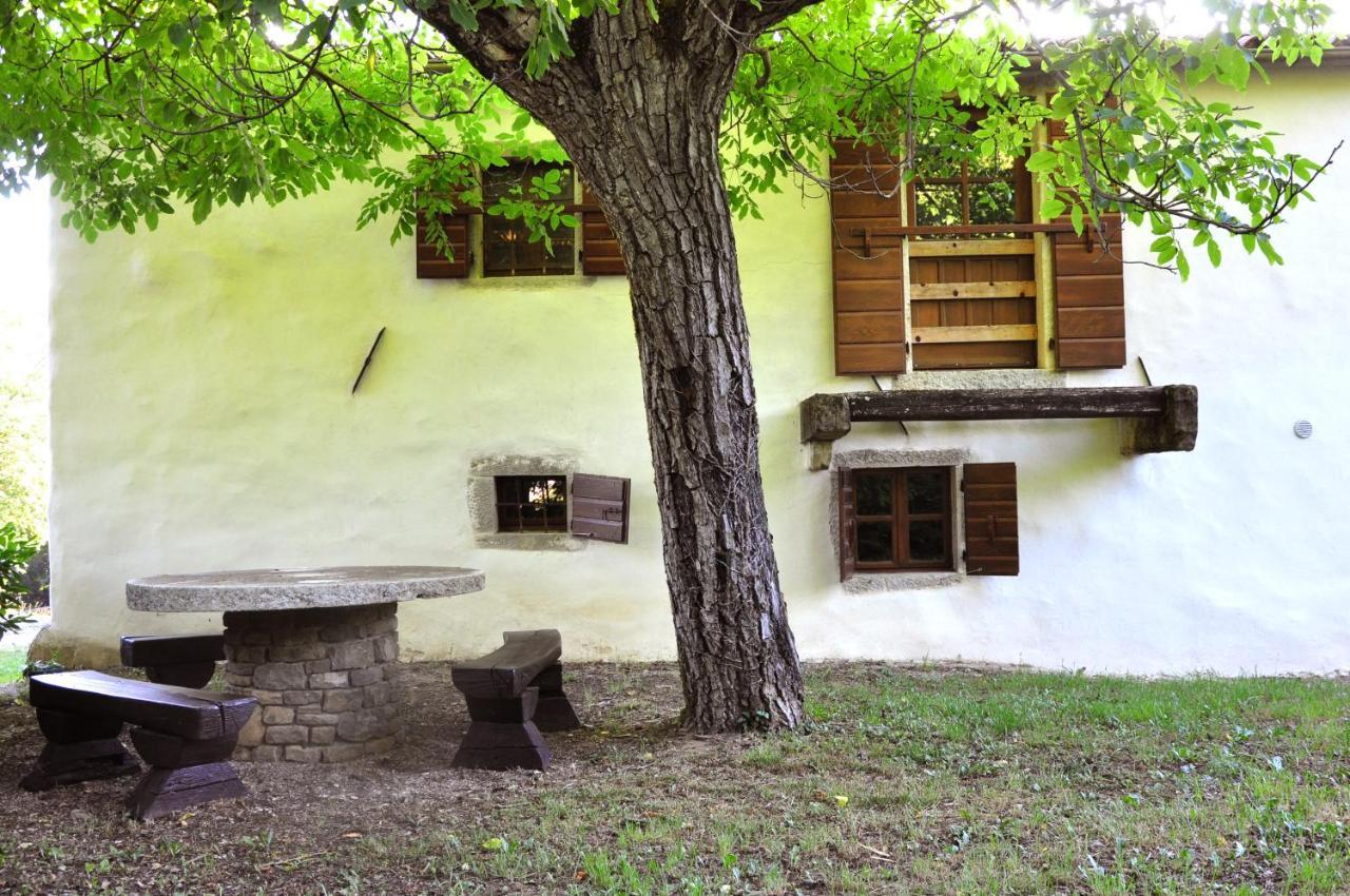Traditional Stone House Kotli Buzet Eksteriør billede